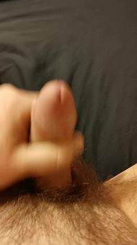 Getting my cock hard again. Who wants to help it get rock hard?