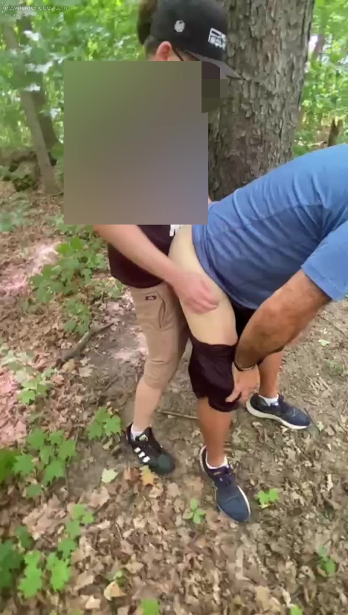 Pleasant surprises on my daily walk in the woods .