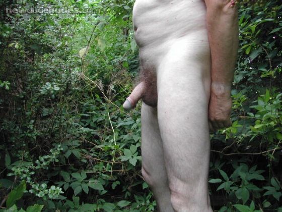 relaxing in free nature