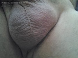 Shaved my balls come suck them