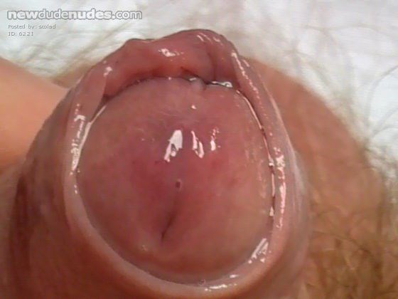 My cock head wet with pre-cum.