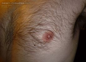 Who wants to suck my nipple ?