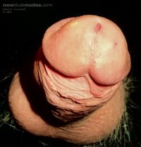 Floating cock 4