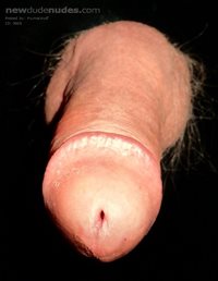 Floating cock 6