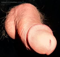 Floating cock 7