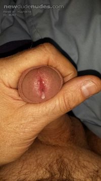 Pms or comments welcome