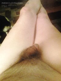 Just my little dick