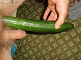 Comparing the long hard cucumber with my little soft cock.  