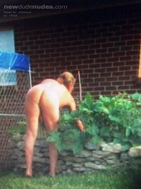 Backyard gardener!