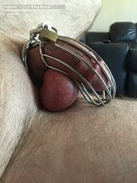 Decided to cage my dick to keep myself from jerking off all day. Need to ge...