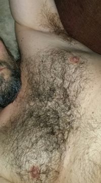 My hairy chest and nips... plus a hairy pit. Kik: HungToylvr